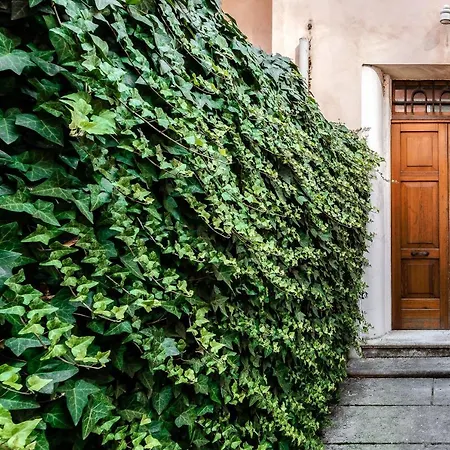 Διαμέρισμα Flats4rent Casa Grazioli *